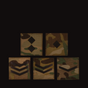 MULTICAM® IR Rank Slides