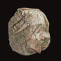 Pack Cover